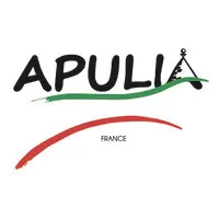 APULIA IMPORT logo