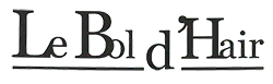 LE BOL D'HAIR logo