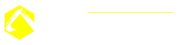PETER HERVE logo