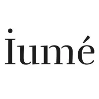 LEMI logo