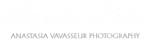 MERZLEACOV ANASTASIA logo