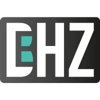 BEHZ CONSULTING logo
