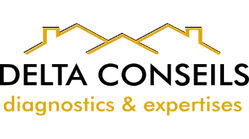 DELTA CONSEILS logo