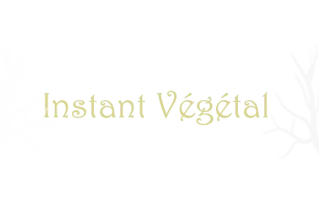 INSTANT VEGETAL logo