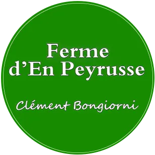 BONGIORNI CLEMENT logo