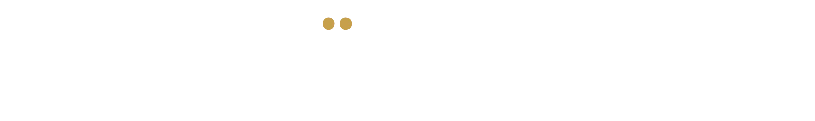 FIDANZI CHLOE logo