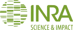 LOUIS BENJAMIN logo