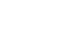 IL MOMENTO logo