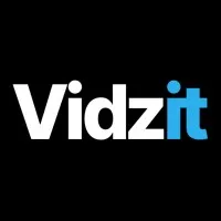 VIDZIT logo