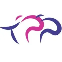 TANDEM PROCESS PARTNER logo