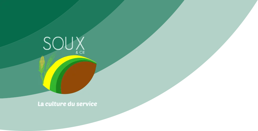 SOUX ET CIE logo