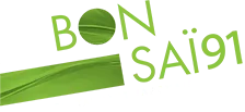 BONSAI 91 logo