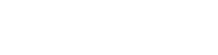 BINOV logo