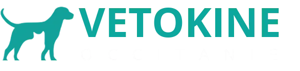 SELARL VETOKINE logo