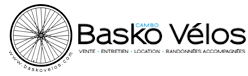BASKO VELOS logo