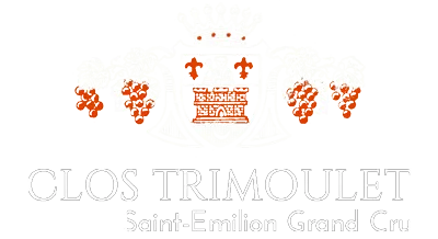 Voici le logo de la marque SCEA CHATEAU TRIMOULET qui représente son identité graphique.