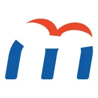 Voici le logo de la marque FIREMOB qui représente son identité graphique.