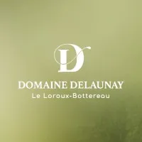 DELAUNAY logo
