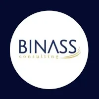 BINASS CONSULTING SAS (BC) logo