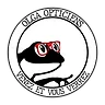 DG OPTIQUE logo