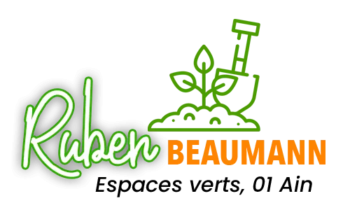 BEAUMANN RUBEN logo