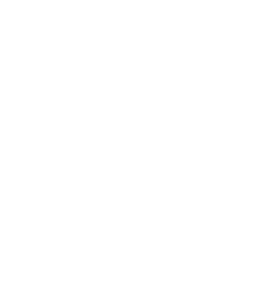 AMERENO logo