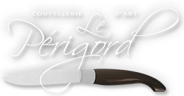 FONCIERE SAINT ANTOINE logo