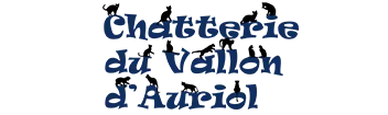 O'NID DU CHAT (O'N) logo