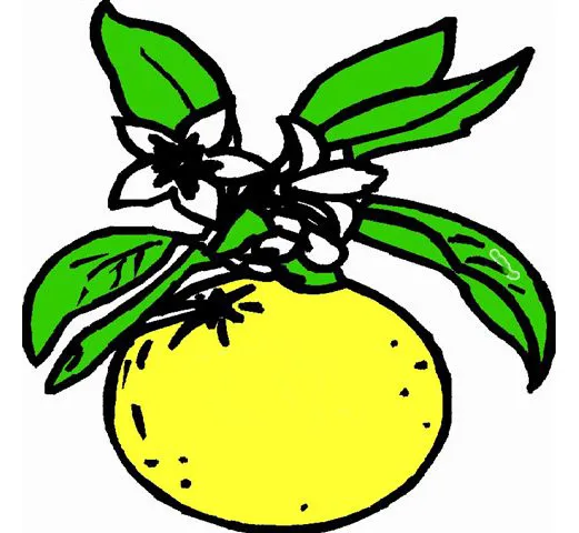 VERY WELL AND YOU SARL logo