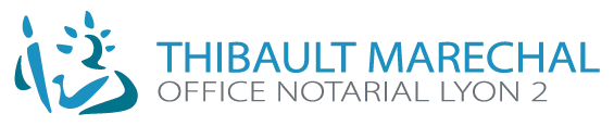 MARECHAL THIBAULT logo