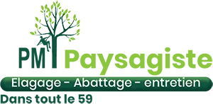 MAYER ARCHANGE logo