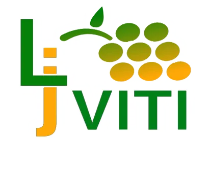 LJ VITI logo