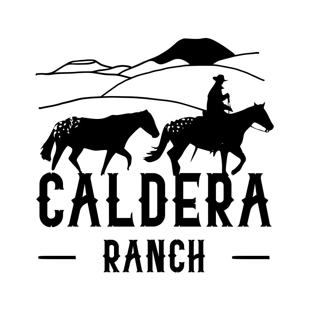 PASQUIER NINA logo