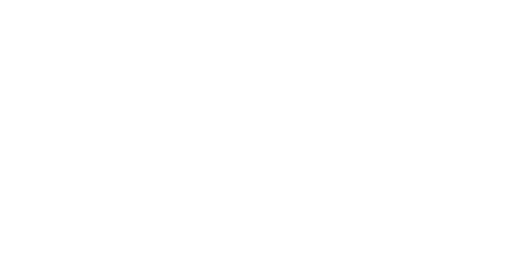 VIA AURELIA SOLUTIONS logo