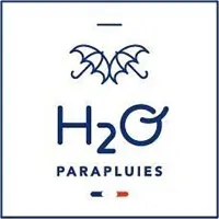 H2O logo