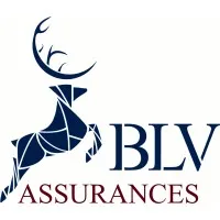 B.L.V ASSURANCES logo