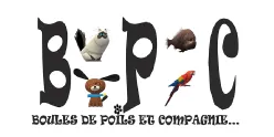 JSM MAG (BOULES DE POILS & COMPAGNIE) logo
