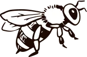 DES ACACIAS logo