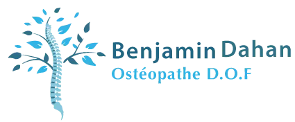 BENJAMIN DAHAN logo