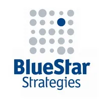 BLUE STAR STRATEGIES SAS logo