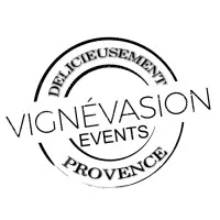 VIGNEVASION logo