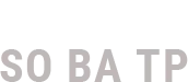 SAS NOUVELLE SO BA TP logo