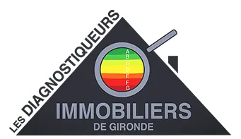 LES DIAGNOSTIQUEURS IMMOBILIERS DE GIRONDE (LDIDG) logo