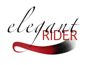 LE STAGE 3 logo