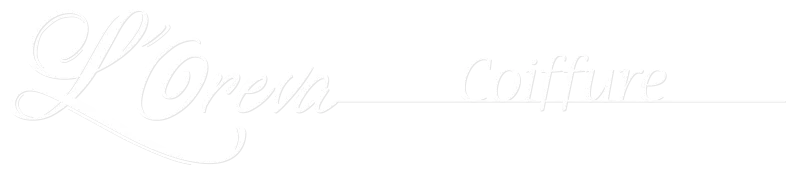 VEHUEL logo