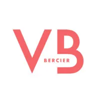 BVB GROUPE logo