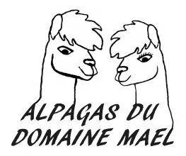 DOMAINE MAEL logo