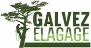 GALVEZ JORIS logo