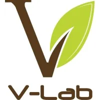 V-LAB logo
