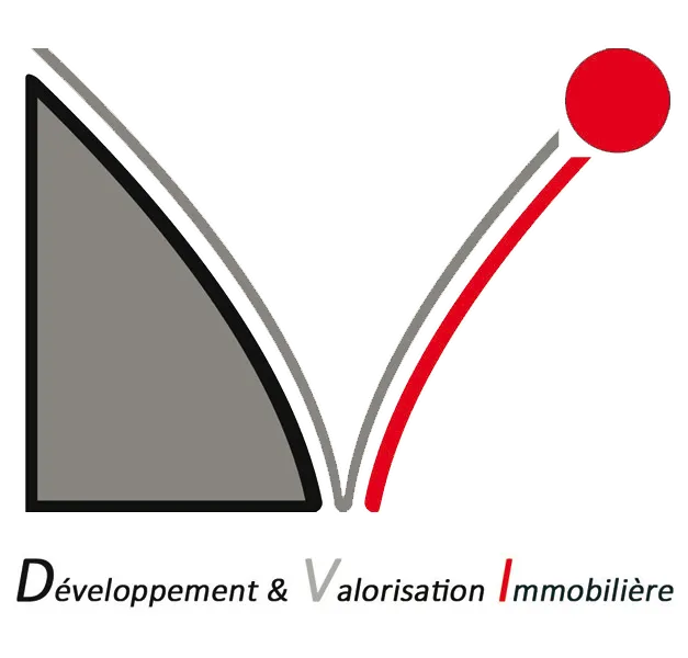 DVI logo